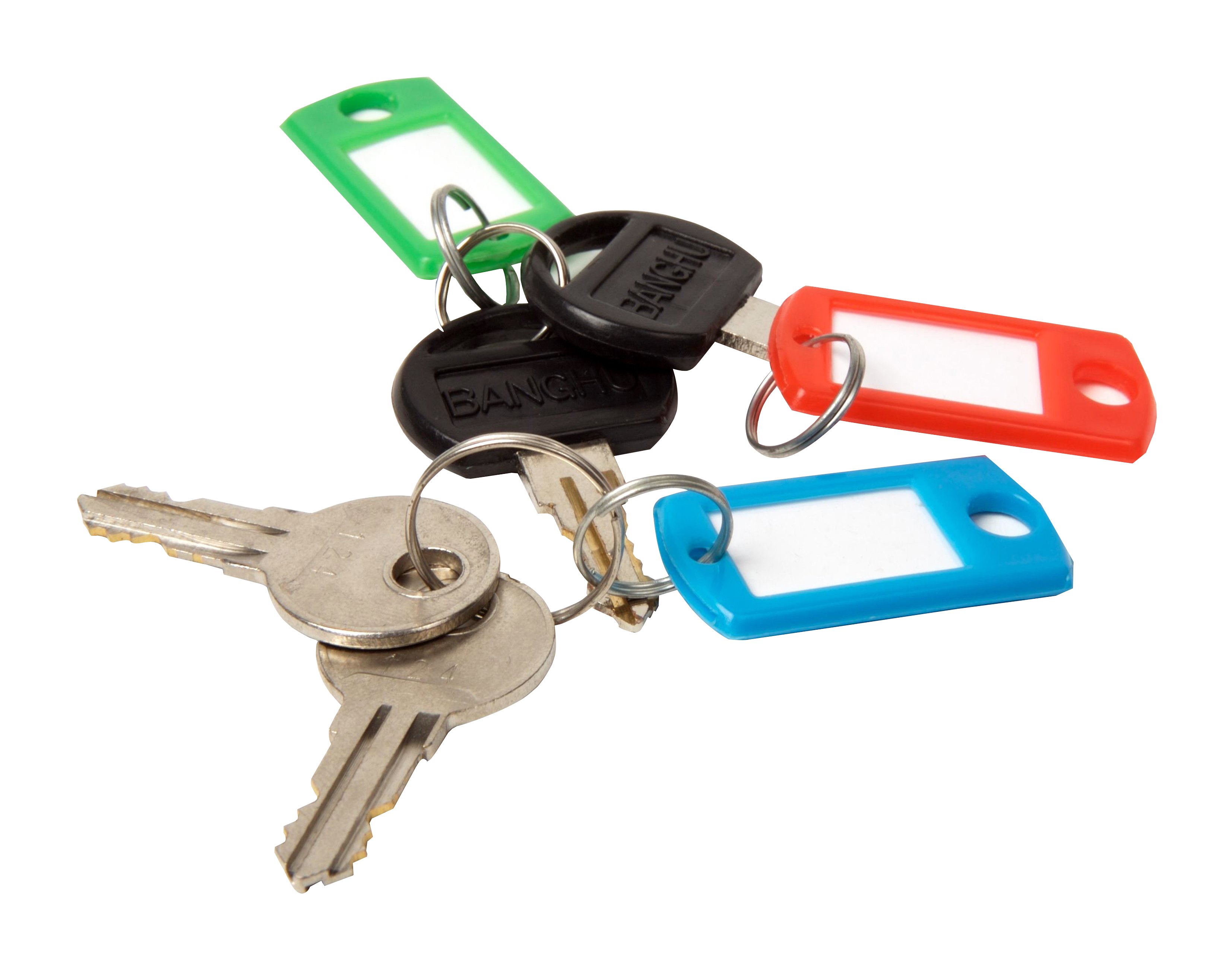 Key Fobs  Pk20 Assorted Colour